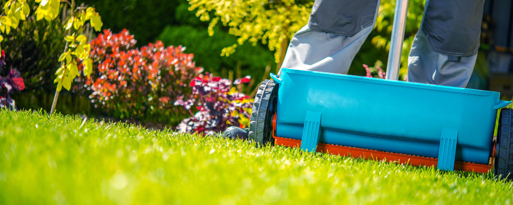 Low angle view of lawn and fertilizing equipment