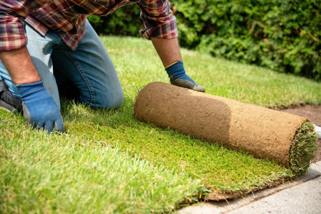 Artificial grass mistakes