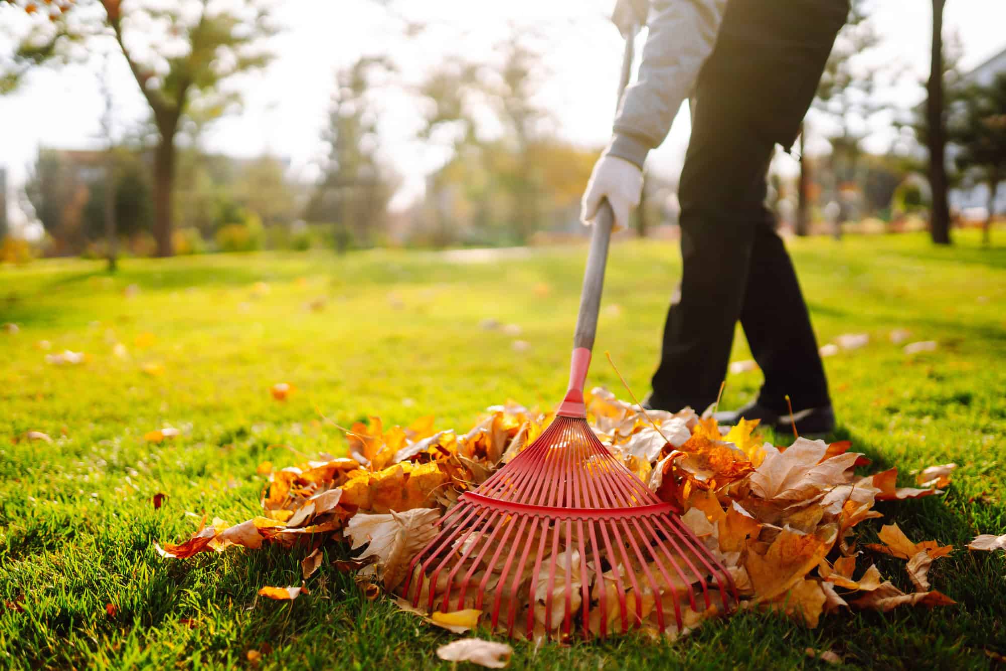 Artificial grass mistakes