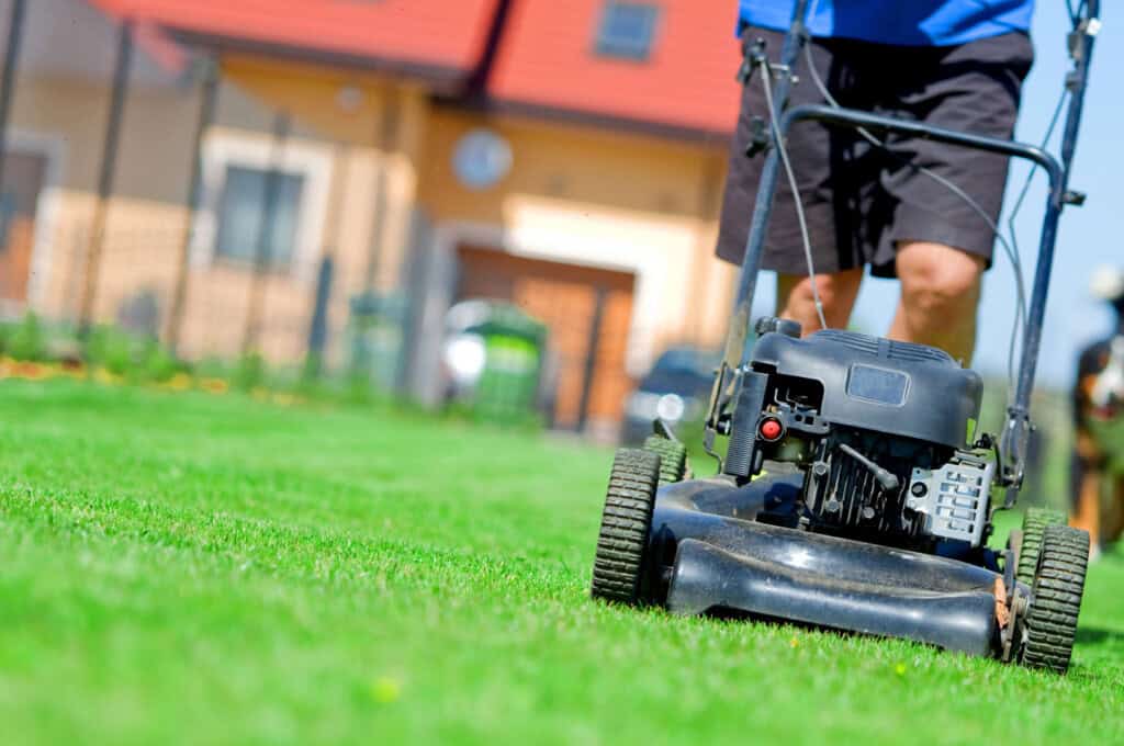 Mowing practices