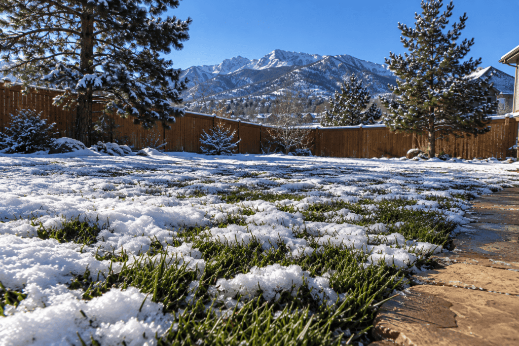 artificial turf maintenance in winter