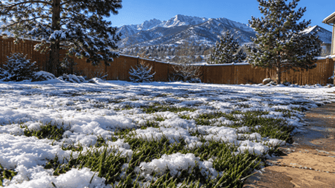 artificial turf maintenance in winter