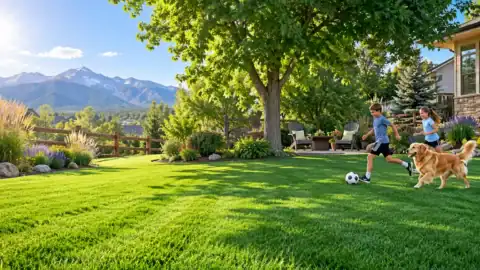 Best grass for full sun