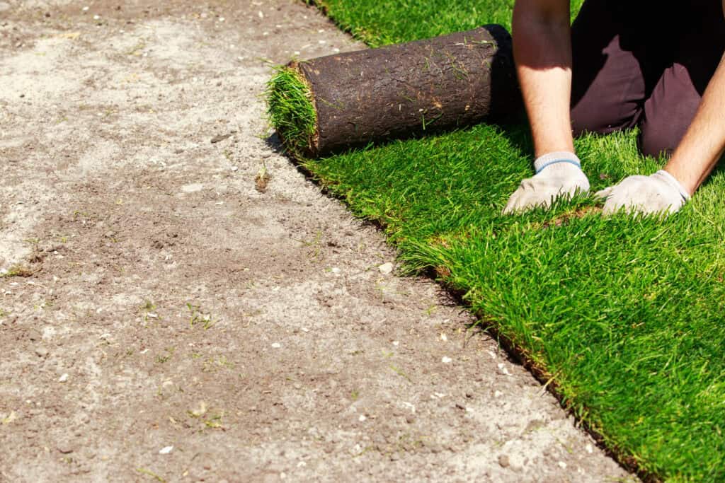 A person wearing gloves installs fresh sod on bare soil, unrolling green grass along the edge. Only their arms and knees are visible—a careful process for anyone learning how to tell if sod has taken root.