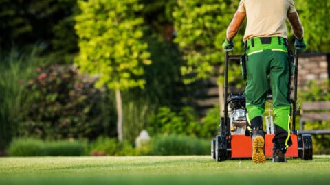 professional lawn care